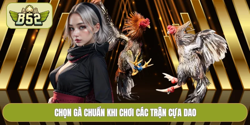 Chọn gà chuẩn khi chơi các trận cựa dao