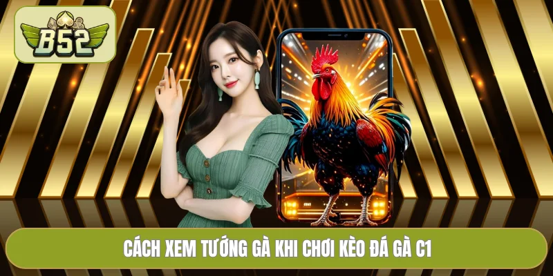 Cách xem tướng gà khi chơi kèo đá gà C1